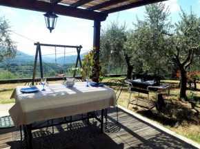 Casa Zita dei fiori